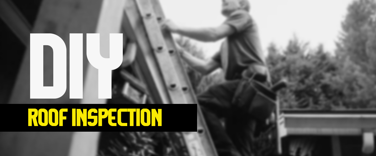 DIY Roof Inspection
